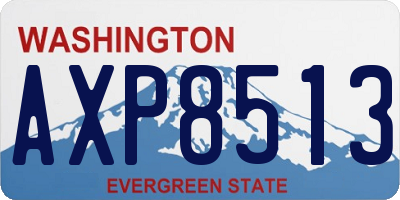 WA license plate AXP8513