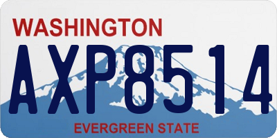 WA license plate AXP8514