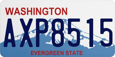 WA license plate AXP8515