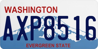 WA license plate AXP8516