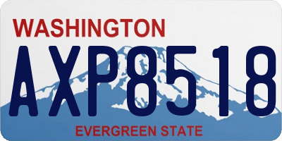 WA license plate AXP8518