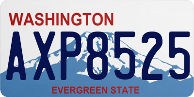 WA license plate AXP8525