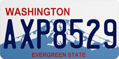 WA license plate AXP8529