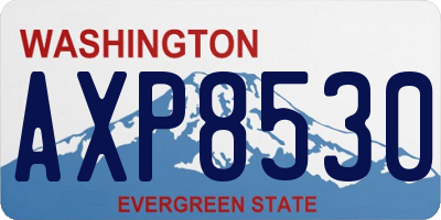 WA license plate AXP8530