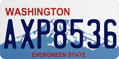 WA license plate AXP8536