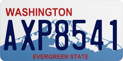 WA license plate AXP8541