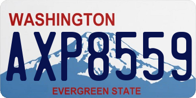 WA license plate AXP8559