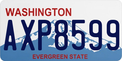 WA license plate AXP8599