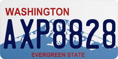 WA license plate AXP8828