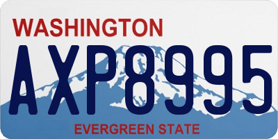 WA license plate AXP8995