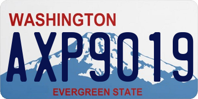 WA license plate AXP9019