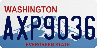 WA license plate AXP9036