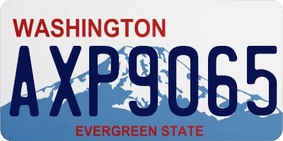 WA license plate AXP9065