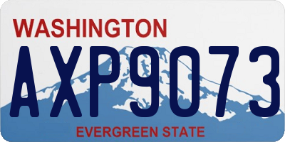 WA license plate AXP9073