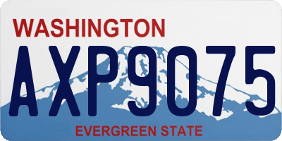 WA license plate AXP9075