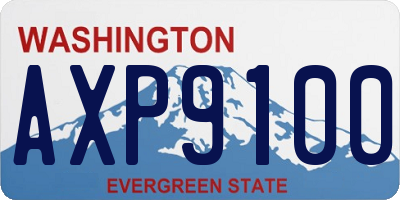 WA license plate AXP9100