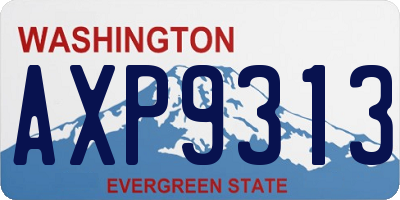 WA license plate AXP9313