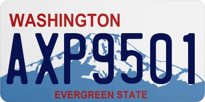 WA license plate AXP9501