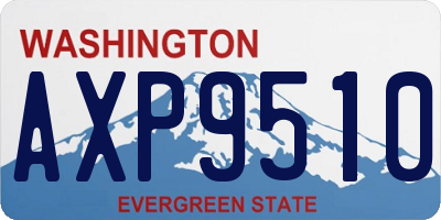 WA license plate AXP9510