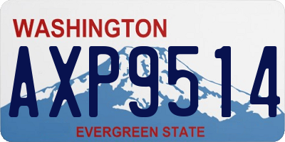 WA license plate AXP9514