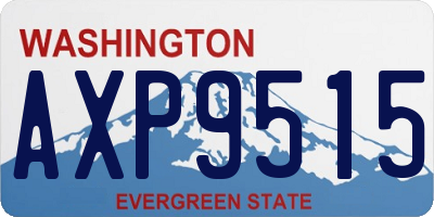 WA license plate AXP9515