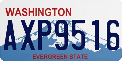 WA license plate AXP9516