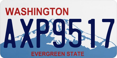 WA license plate AXP9517