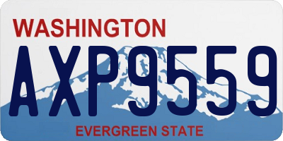 WA license plate AXP9559