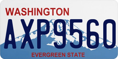 WA license plate AXP9560