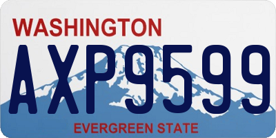 WA license plate AXP9599