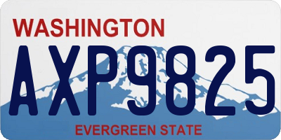 WA license plate AXP9825