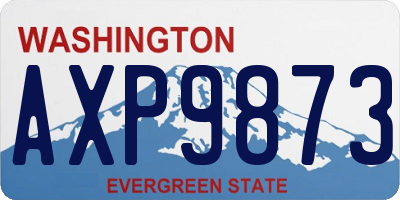 WA license plate AXP9873