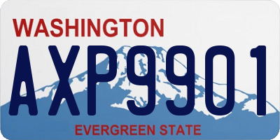 WA license plate AXP9901