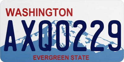 WA license plate AXQ0229