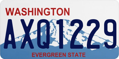 WA license plate AXQ1229