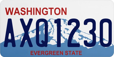 WA license plate AXQ1230