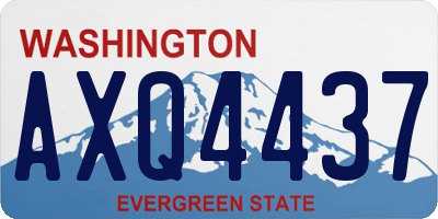 WA license plate AXQ4437