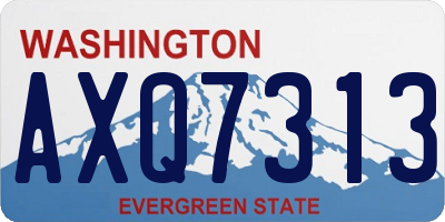 WA license plate AXQ7313