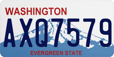 WA license plate AXQ7579