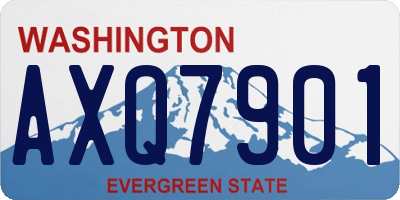WA license plate AXQ7901