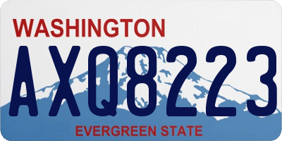 WA license plate AXQ8223
