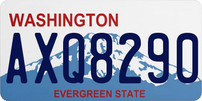 WA license plate AXQ8290