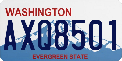 WA license plate AXQ8501