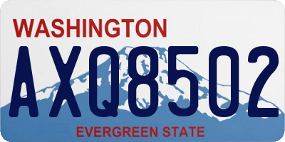 WA license plate AXQ8502