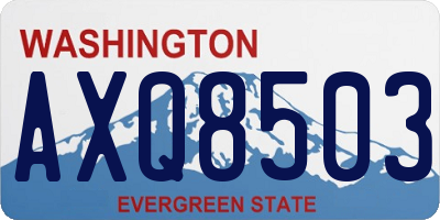 WA license plate AXQ8503