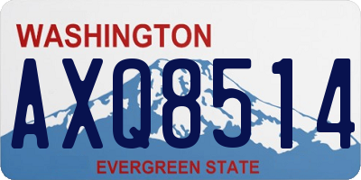 WA license plate AXQ8514