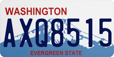 WA license plate AXQ8515