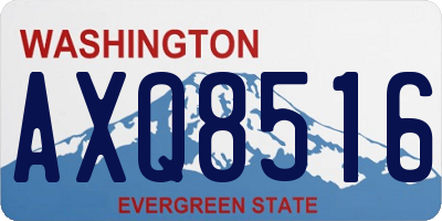 WA license plate AXQ8516
