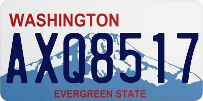 WA license plate AXQ8517