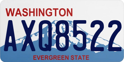 WA license plate AXQ8522